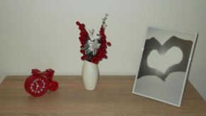 Apartamenty Lejówka